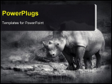PowerPoint Template - White Rhinoceros (Artistic processing)