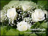 PowerPoint Template - close-up shot of a bouquet of white roses