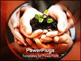 PowerPoint Template - Business development - Closeup of hands holding seedling in a group