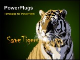 PowerPoint Template - majestic wild tiger king of animal vector image