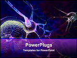 PowerPoint Template - illustration of neurons in the brain