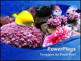 PowerPoint Template - sea life