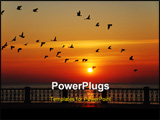 PowerPoint Template - Flight of birds on a background of a rising sun