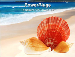 PowerPoint Template - Three seashells put together over white background.