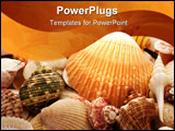 PowerPoint Template - Assorted Sea Shells as a Background includes Starfish