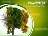 PowerPoint Template - Conceptual tree in four seasons
