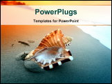 PowerPoint Template - shell on sand