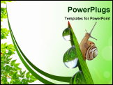PowerPoint Template - Snail on dewy grass