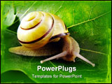 PowerPoint Template - image from nature series: snail on leaf