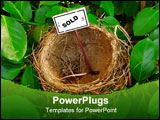 PowerPoint Template - real estate market concept photo of a bird nest