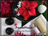 PowerPoint Template - spa beauty exotic tropical flowers sea shells stones towels salt soap on green leaves