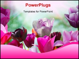 PowerPoint Template - Beautiful spring flowers