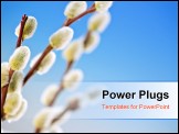 PowerPoint Template - Spring willow branches closeup on blue background