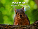 PowerPoint Template - A squirrel up on a branch staring at the camera.