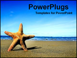 PowerPoint Template - starfish on beach