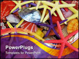PowerPoint Template - Shells and Seastars sold as souvenirs on the beach of Rhodes