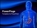 PowerPoint Template - 3d rendered illustration of a human body with knot in stomach