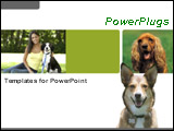 PowerPoint Template - A beautiful woman sitting on the grass with dog and cocker spaniel plus a dog over white background
