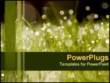 PowerPoint Template - 