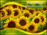 PowerPoint Template - sunflower crop in the plains of argentina
