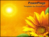 PowerPoint Template - Yellow sunflower, sunflower reaching for the sun