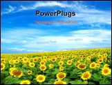PowerPoint Template - yellow sunflower field over cloudy blue sky