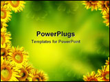 PowerPoint Template - Yellow sunflowers on background of green color