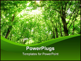 PowerPoint Template - summer nature. sunlight in trees of green forest.