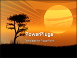 PowerPoint Template - Tree silhouette against a very hot sunset.