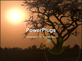 PowerPoint Template - Sunrise In Moremi Game Reserve