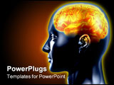 PowerPoint Template - The brain is highlighted with hot color. The concept of intelligence.