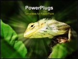 PowerPoint Template - big tree lizard in the urban parks