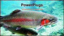 PowerPoint Template - A close-up image of Rainbow Trout