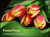 PowerPoint Template - Freshly picked tulips on dark; Landscape oriented image