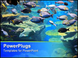 PowerPoint Template - Underwater colorful tropical fishes and beautiful corals.