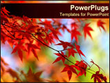 PowerPoint Template - Vibrant fall leaves.