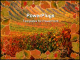 PowerPoint Template - Beautiful colorful vineyard in the autumn sun