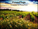PowerPoint Template - Landscape of countryside with a vineyard and flowers at sunset