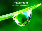 PowerPoint Template - Water drop on the fresh green shoot. Super Macro