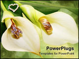 PowerPoint Template - two calla lilies with wedding rings inside