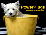 PowerPoint Template - White terrier in a yellow basket