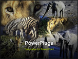 PowerPoint Template - Montage - Africa - wildlife including lion elephant zebra giraffe Botswana and Namibia