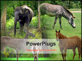 PowerPoint Template - 9 animal wildlife collage