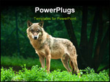 PowerPoint Template - One wolf standing on green hillock and look at photograph.