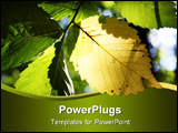 PowerPoint Template - the sun shining throught a yellow elm leaf making it glow